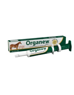 VETNIL ORGANEW PASTA 32 G