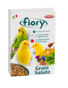 Fiory Health Mixture for birds 300 g