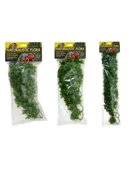 Zoo Med Natural Bush™ Plant - Congo Ivy Small