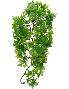 Zoo Med Natural Bush™ rastlina - S Congo Ivy 2