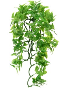 Zoo Med Natural Bush™ Plant - Mexican Phyllo Medium 2