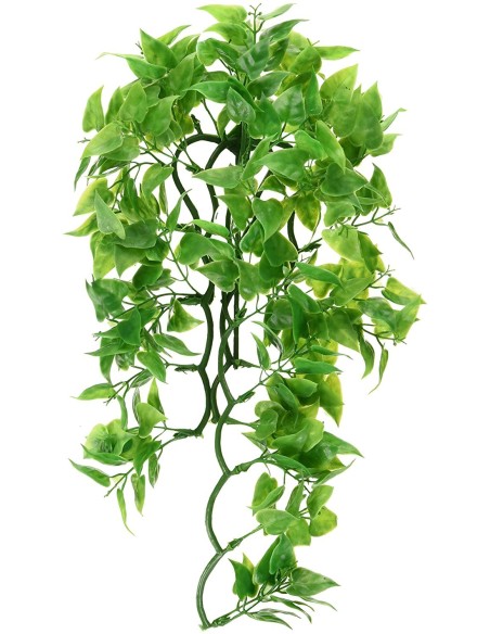 Zoo Med Natural Bush™ Plant - Mexican Phyllo Medium