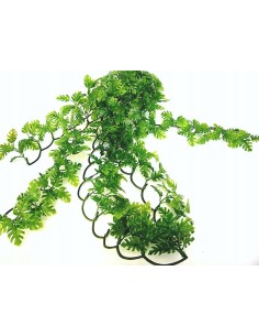 Zoo Med Natural Bush™ Plant - Amazonian Phyllo Large 2