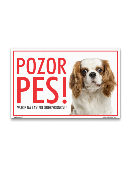 Pasja tablica z napisom - Pozor Pes