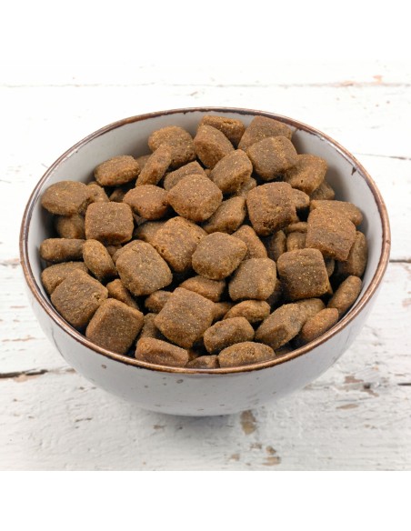 Grau Generation Pet dry food for dogs, Trout and potatoes 3kg