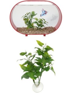 Zoo Med Betta Plant 2