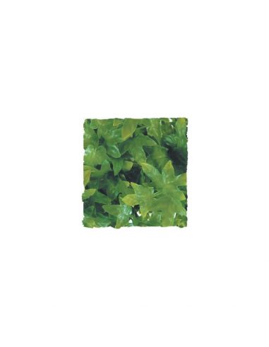 Zoo Med Natural Bush™ rastlina - S Congo Ivy