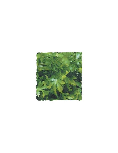 Zoo Med Natural Bush™ rastlina - S Cannabis