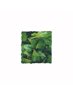 Zoo Med Natural Bush™ rastlina - M Mexican Phyllo