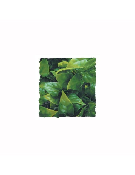 Zoo Med Natural Bush™ Plant - Mexican Phyllo Medium