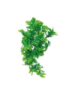 Zoo Med Natural Bush™ rastlina - M Amazonian Phyllo 2