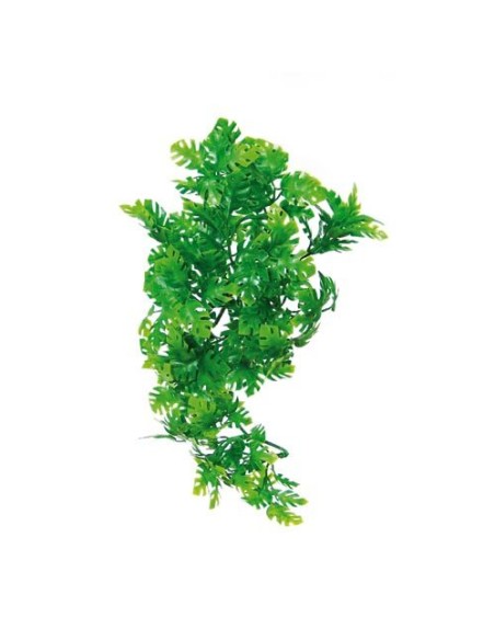 Zoo Med Natural Bush™ Plant - Amazonian Phyllo Large
