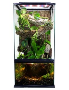 Zoo Med Paludarium 3in1 with 38 L aquarium 2
