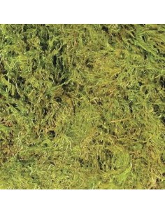 Zoo Med Terrarium Moss 2,4 L 2