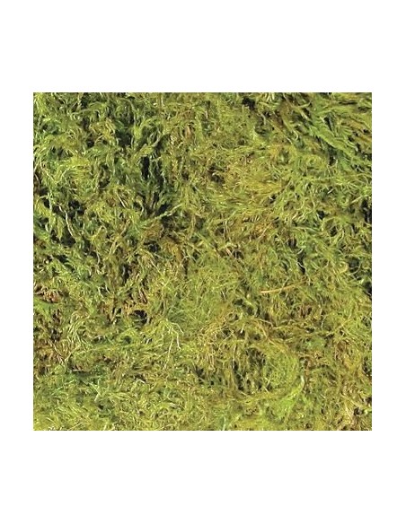 Zoo Med Terrarium Moss - mah 2,4 L