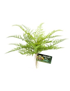 Zoo Med Naturalistic Flora – Lace Fern