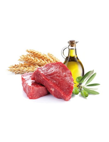 Vincent Diet Adult konzerva Govedina & Pira za pse 150g