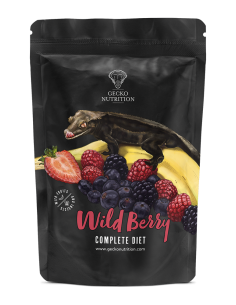 Gecko Nutrition Wild Berry - gecko food 50g