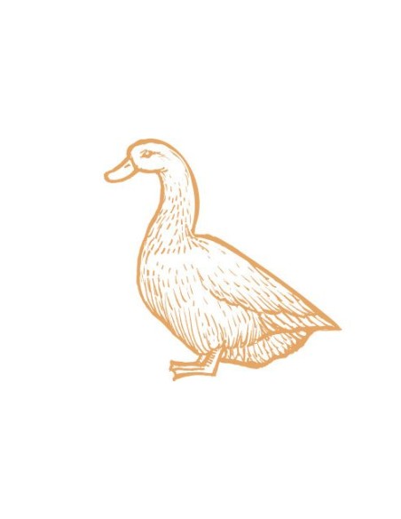 Vincent Uno Dog Adult, Duck, 2,5 kg