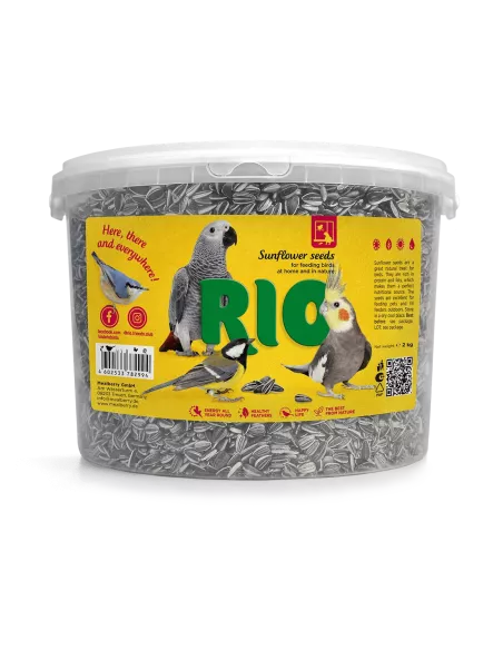 Rio sončnična semena 2kg