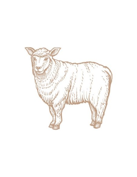 Vincent Uno Dog Adult, Lamb, 2,5 kg