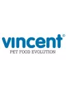 Vincent